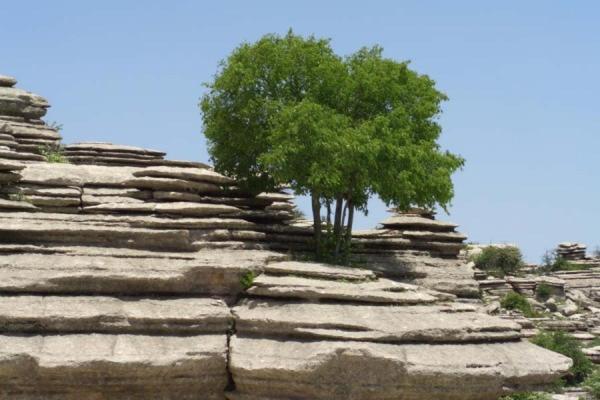 Molino De Saydo 2*